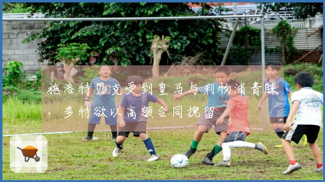 施洛特贝克受到皇马与利物浦青睐，多特欲以高额合同挽留