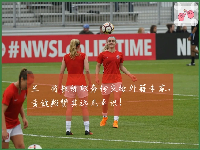 王濛将教练职务转交给外籍专家，黄健翔赞其远见卓识！